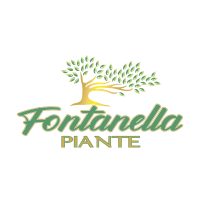 FONTANELLA (1)